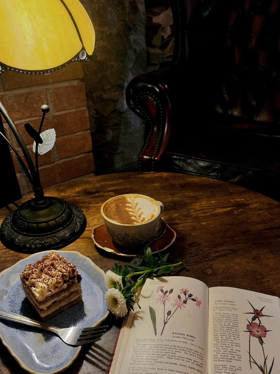 A slice of tiramisu by lamplight